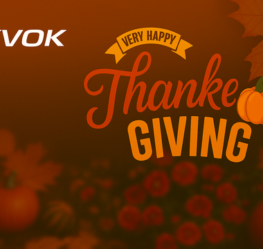 Thanksgiving Gratitude — A Message to All Tyvok Creators & Partners