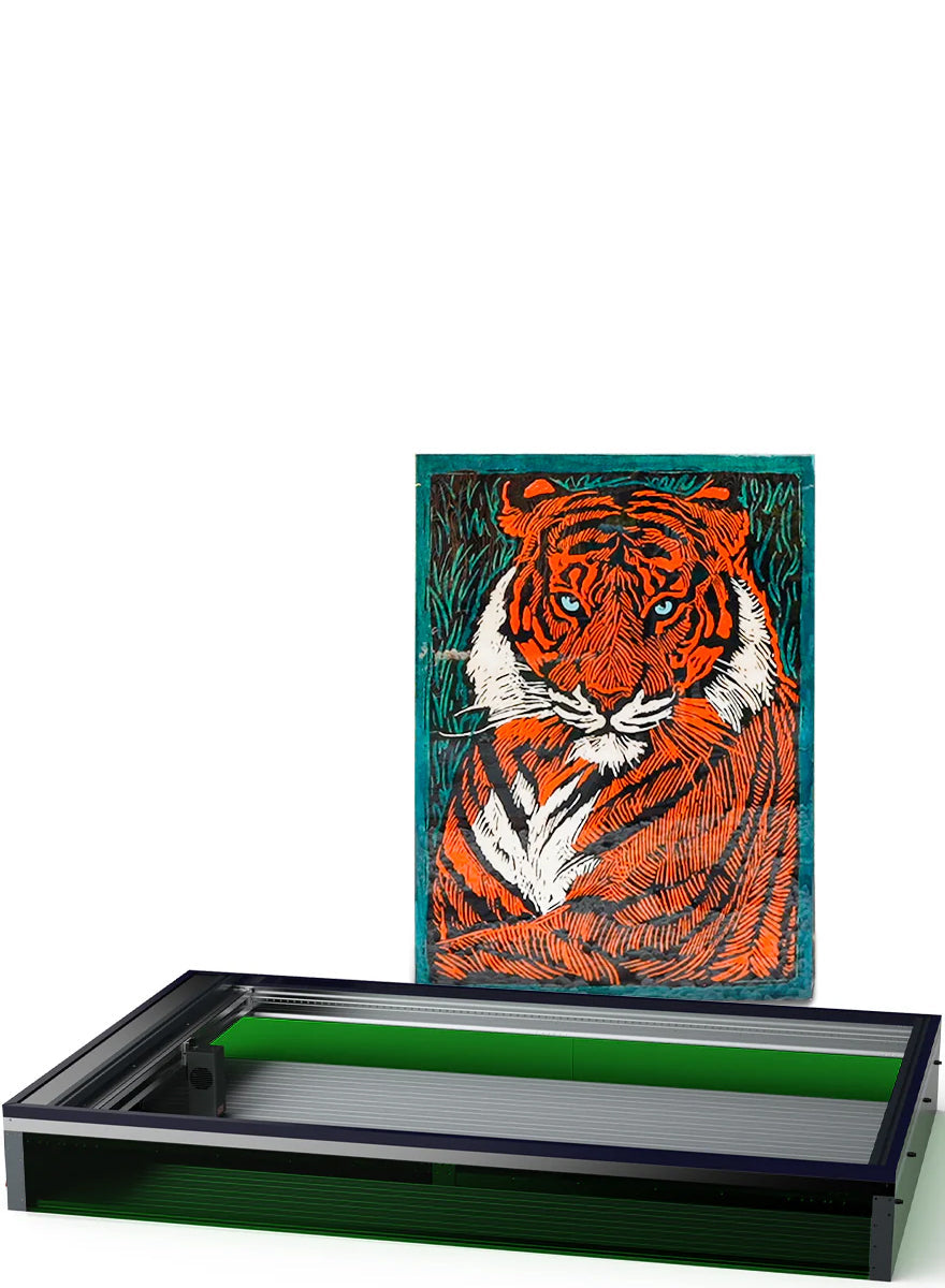tiger_20241118092538.jpg